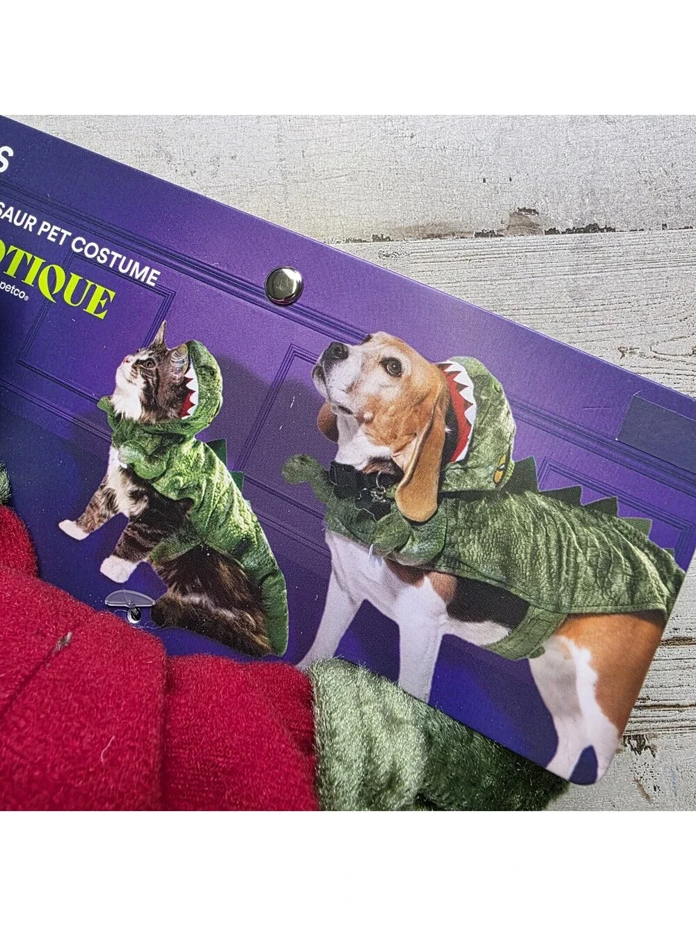 Petco bootique by